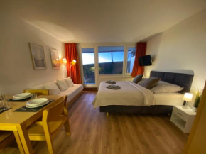 FeWo Pool, Sauna, Wellness, Gartenterrasse ENGELMEER